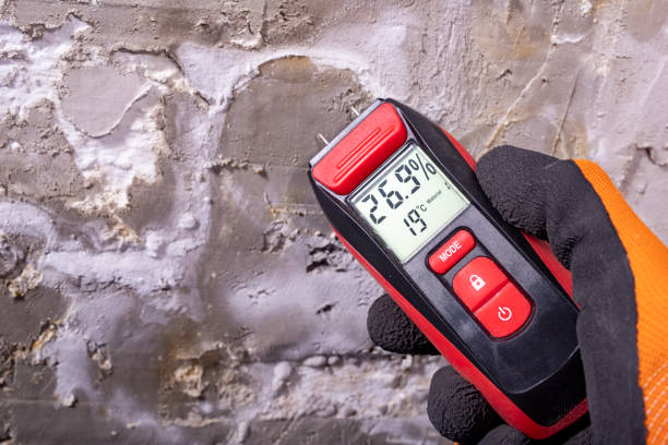 Best Commercial Mold Removal  in Clay, CA