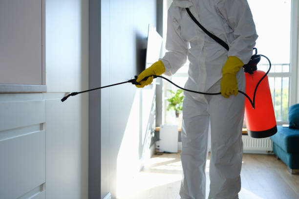 Best Crawl Space Mold Removal  in Clay, CA