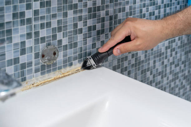 Best Mold Damage Repair  in Clay, CA